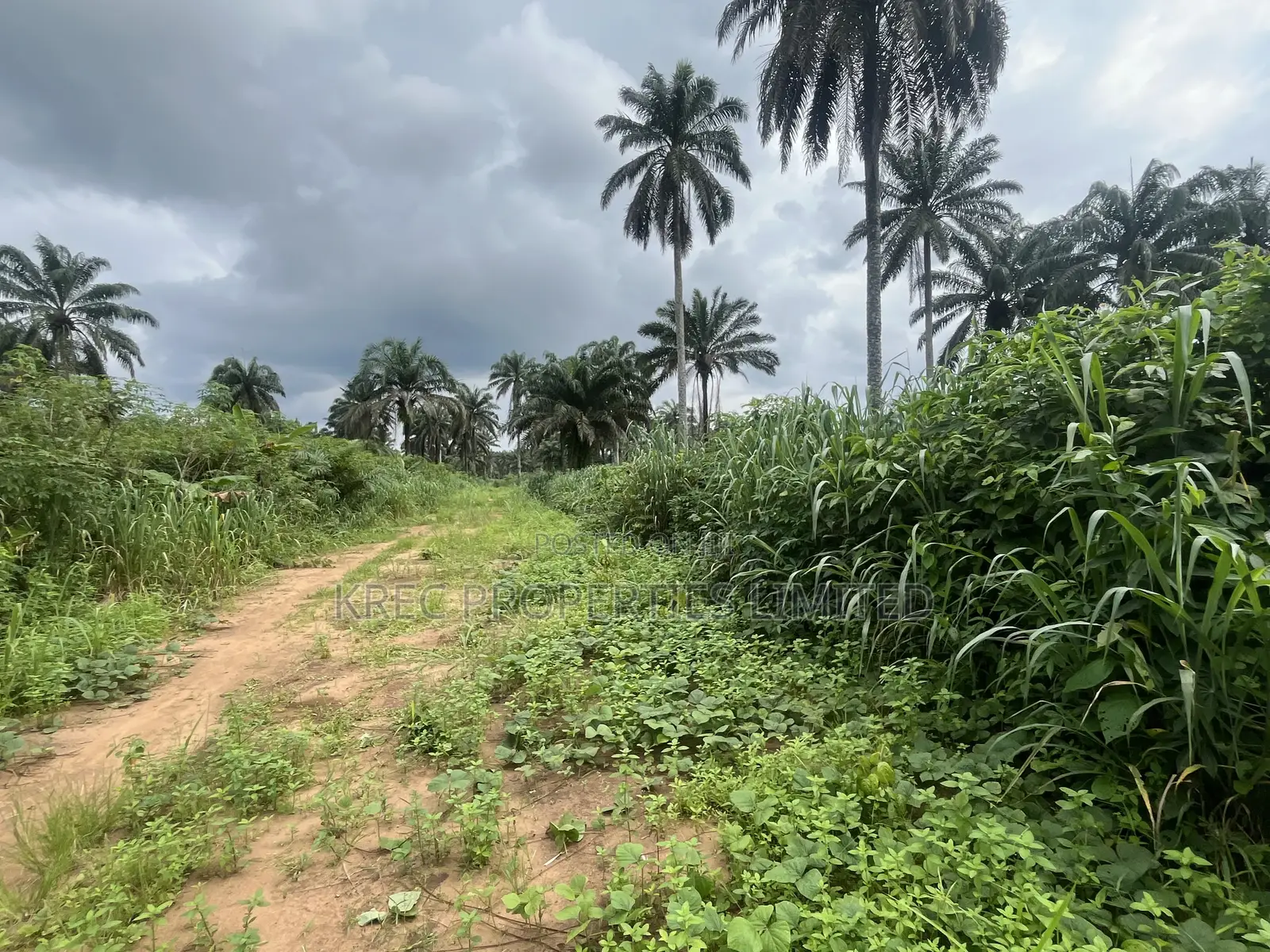 35plots of Land Beside Airport Fence Ipo Omagwa in Omagwa