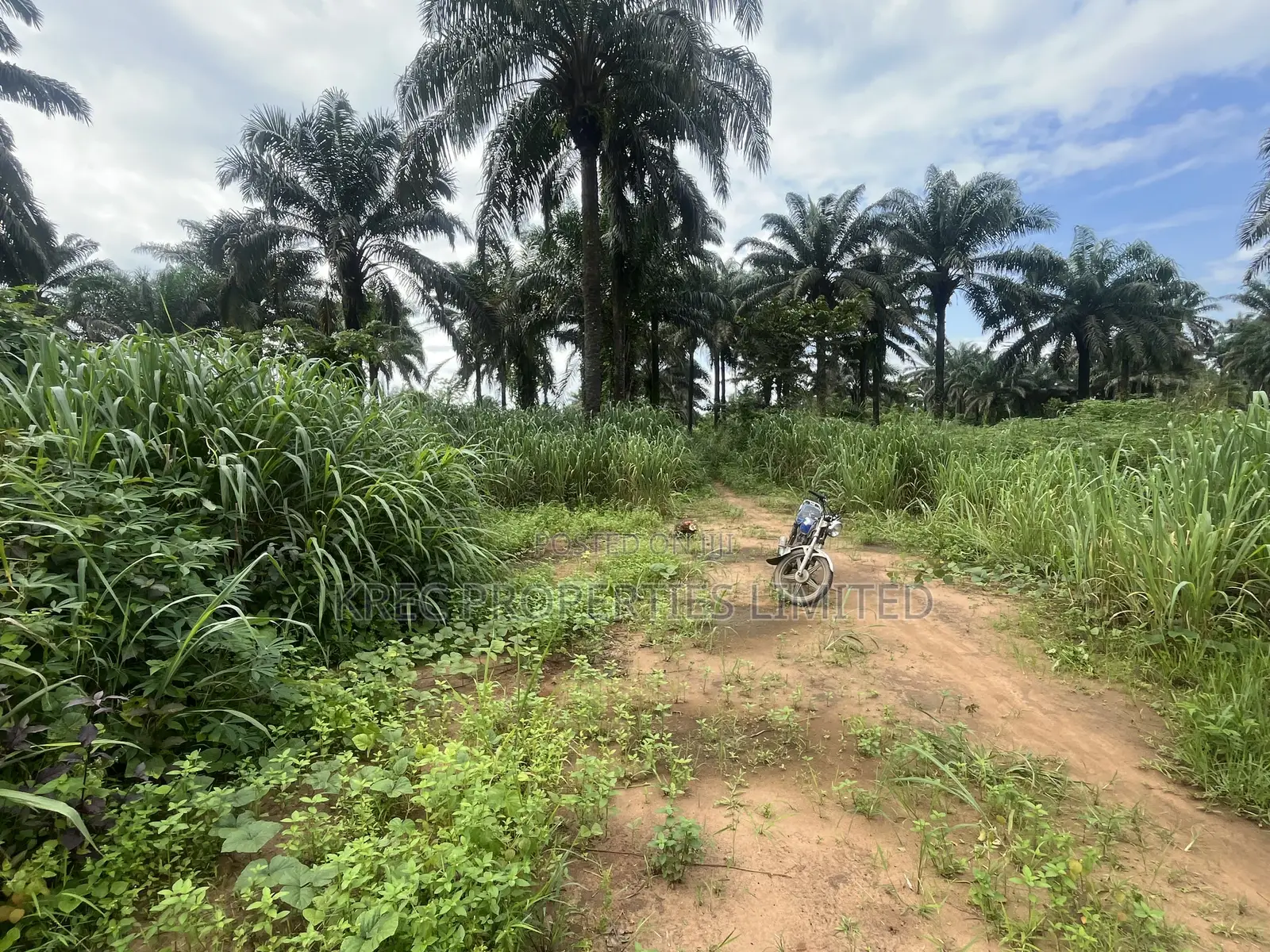 35plots of Land Beside Airport Fence Ipo Omagwa in Omagwa