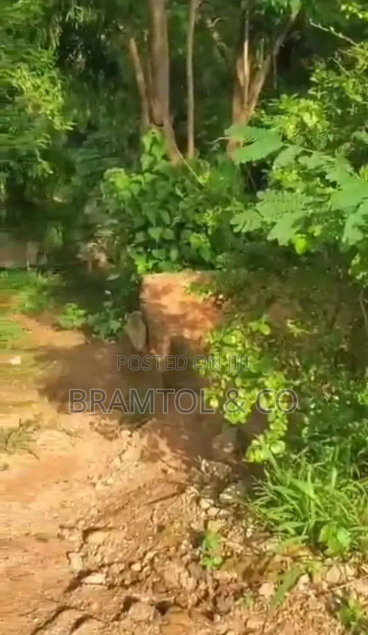 3500sqm Garden Land on IBB Boulevard Maitama for Car Stand, Restaurant in Maitama