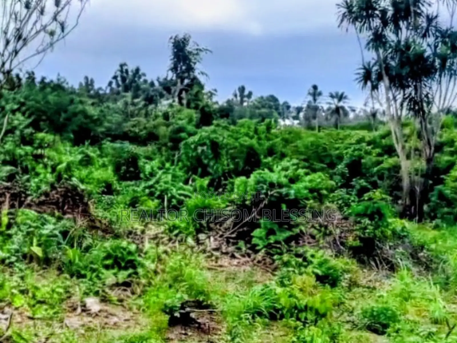 2 Plots on a Distress Sale at Bishop Nwaedo Estate Umuahia in Umuahia