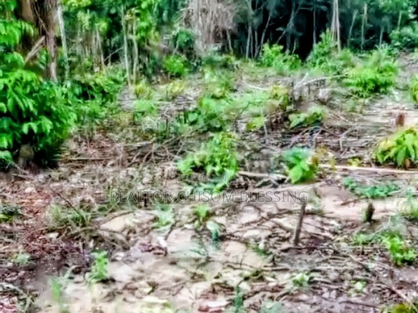 2 Plots on a Distress Sale at Bishop Nwaedo Estate Umuahia in Umuahia