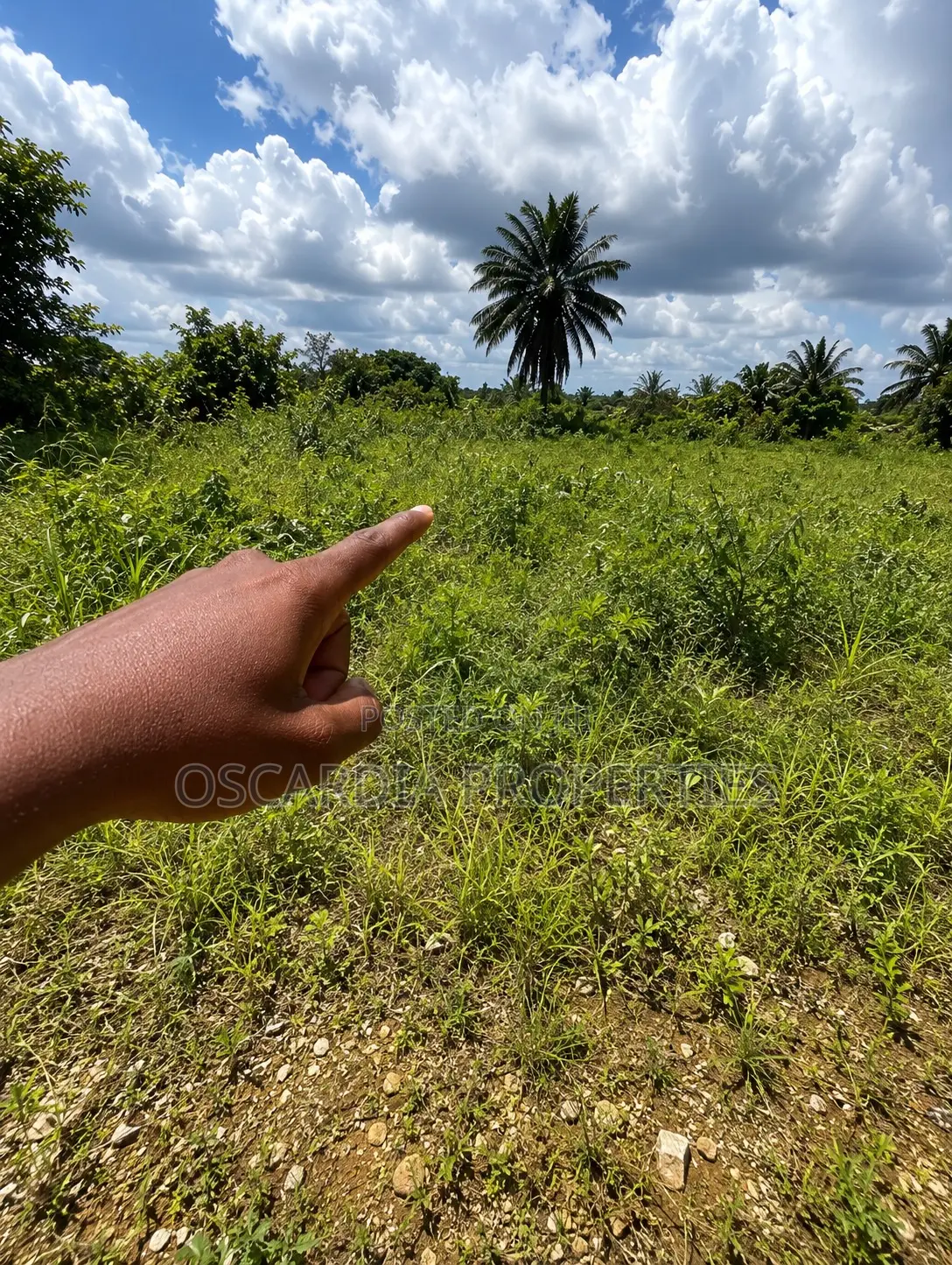 For SALE |Commercial Land Directly Facing Lekki–Epe Expressway, Lakowe in Lakowe
