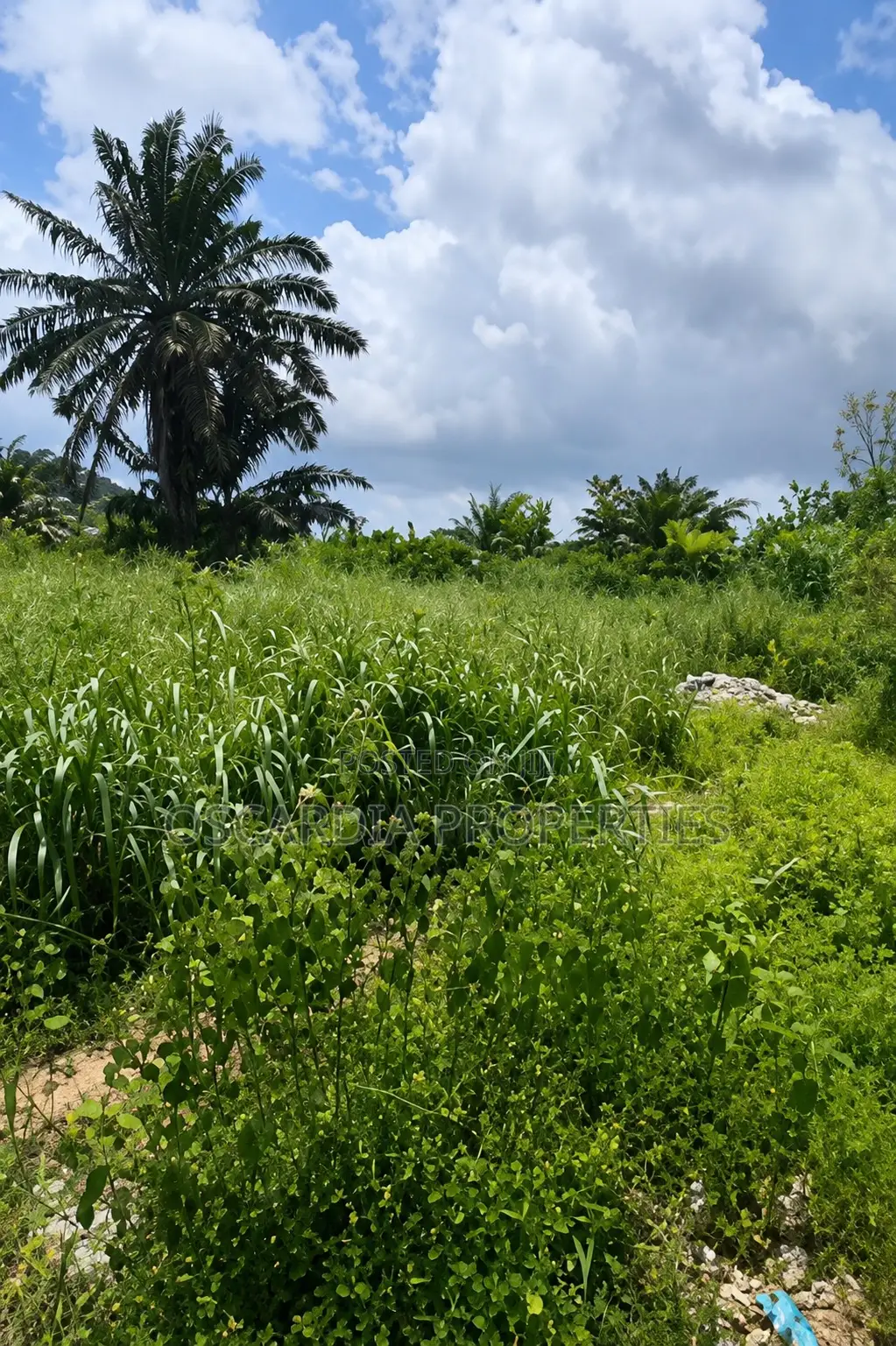 For SALE |Commercial Land Directly Facing Lekki–Epe Expressway, Lakowe in Lakowe