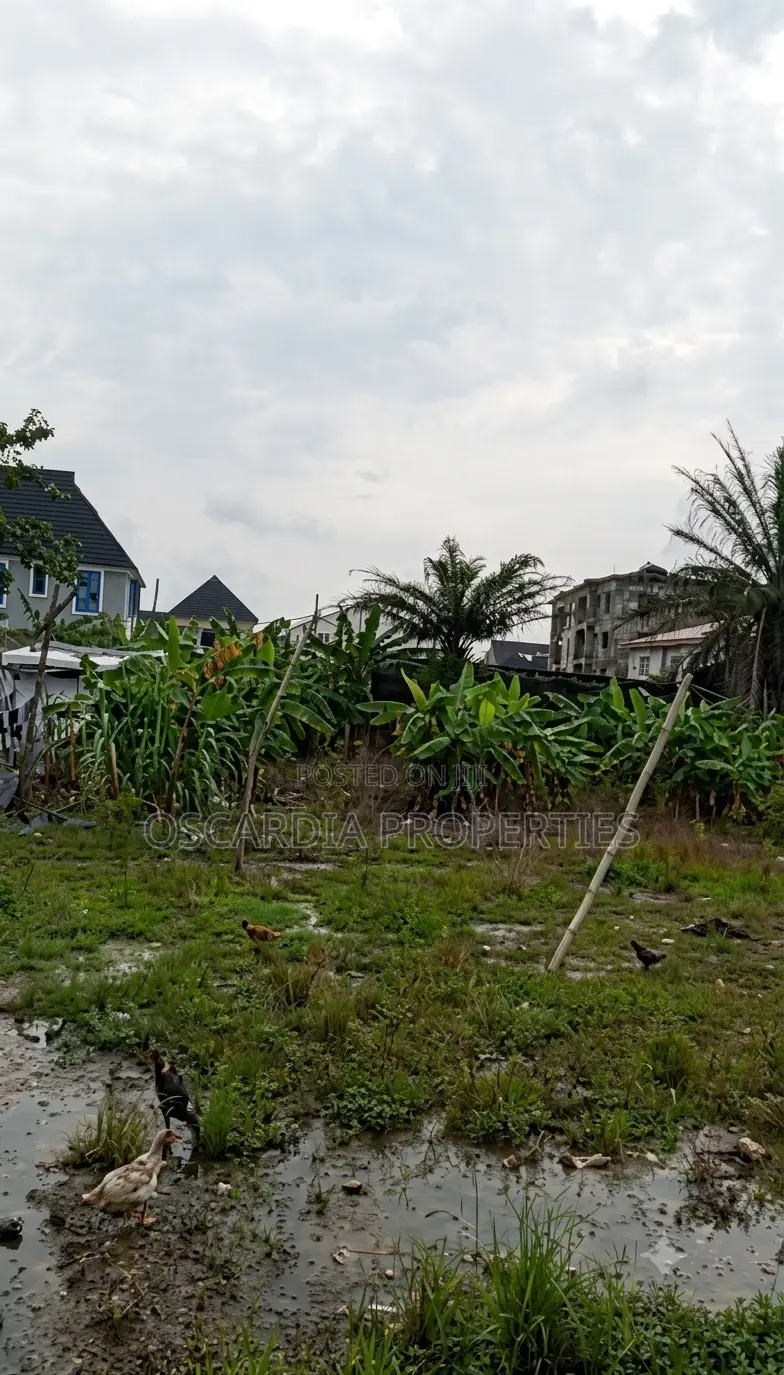 LAND FOR SALE at Lagos Business School, Olokonla, Ajah in Olokonla