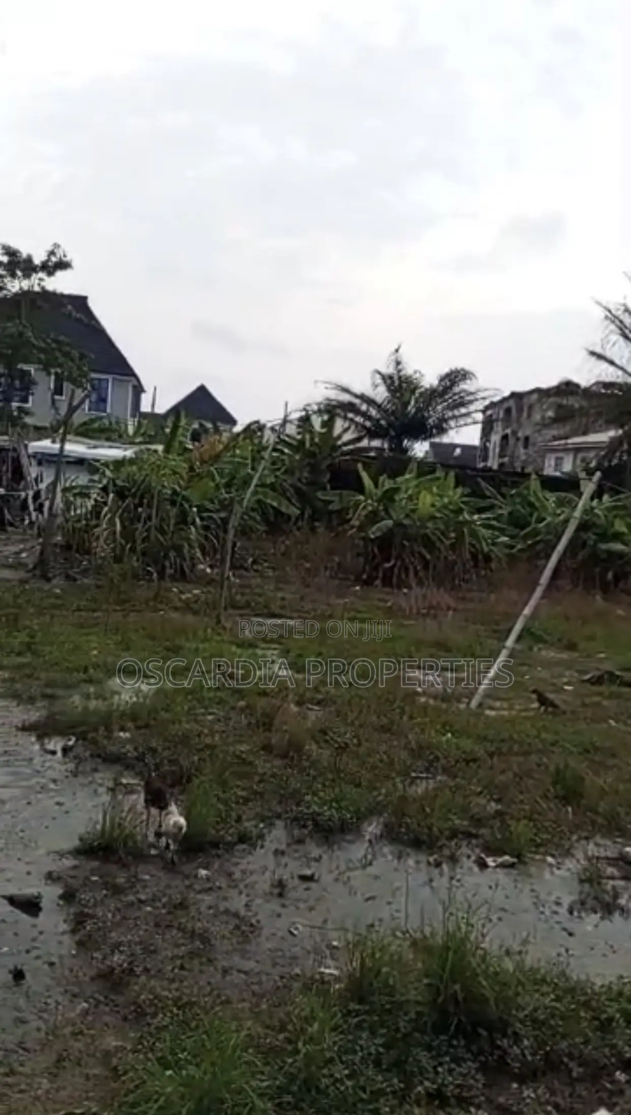 LAND FOR SALE at Lagos Business School, Olokonla, Ajah in Olokonla