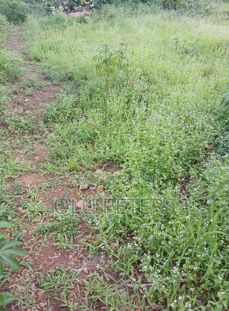 10 Acres of Land for Sale in Moniya