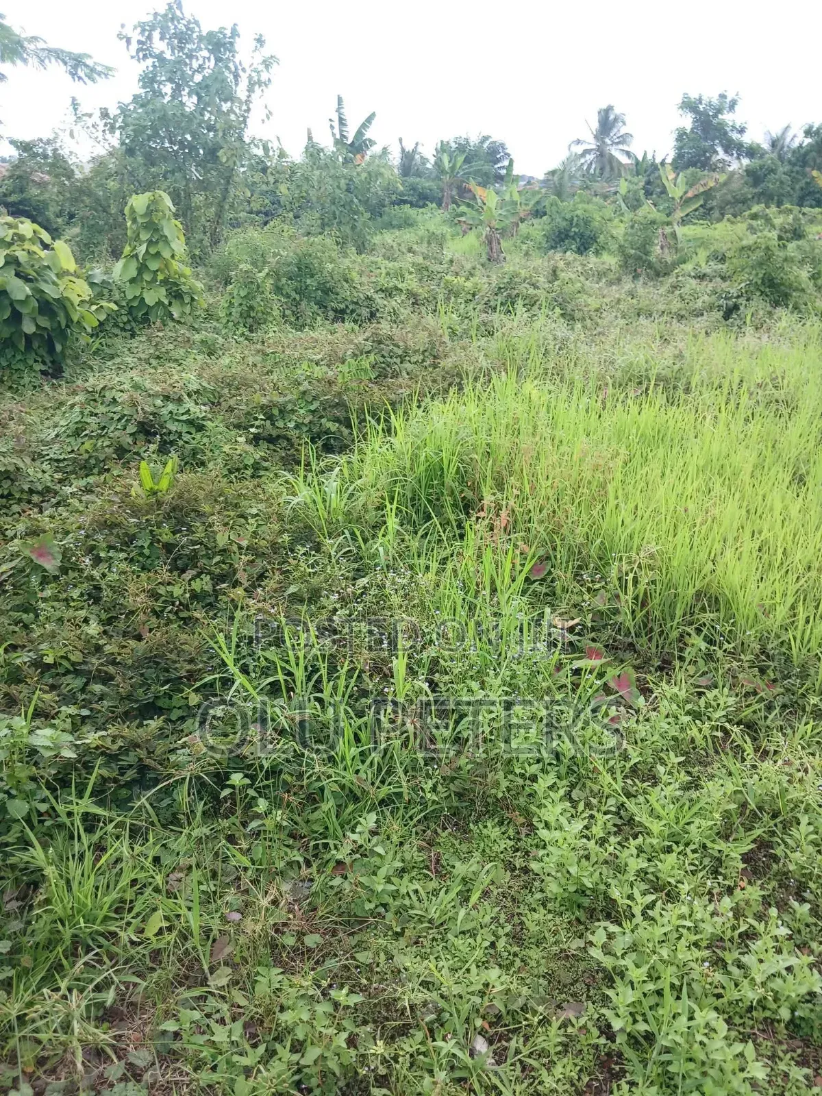 10 Acres of Land for Sale in Moniya