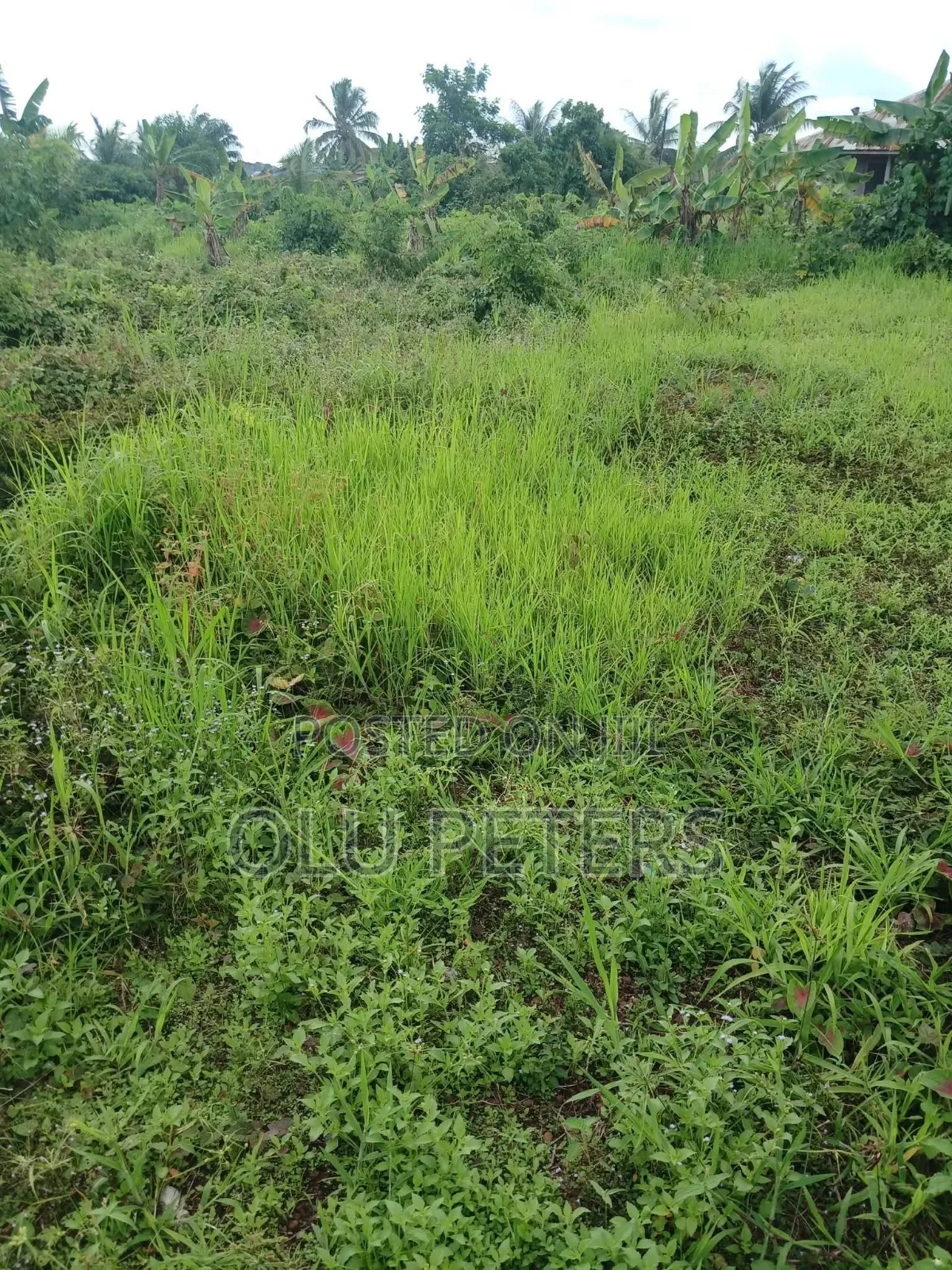 10 Acres of Land for Sale in Moniya