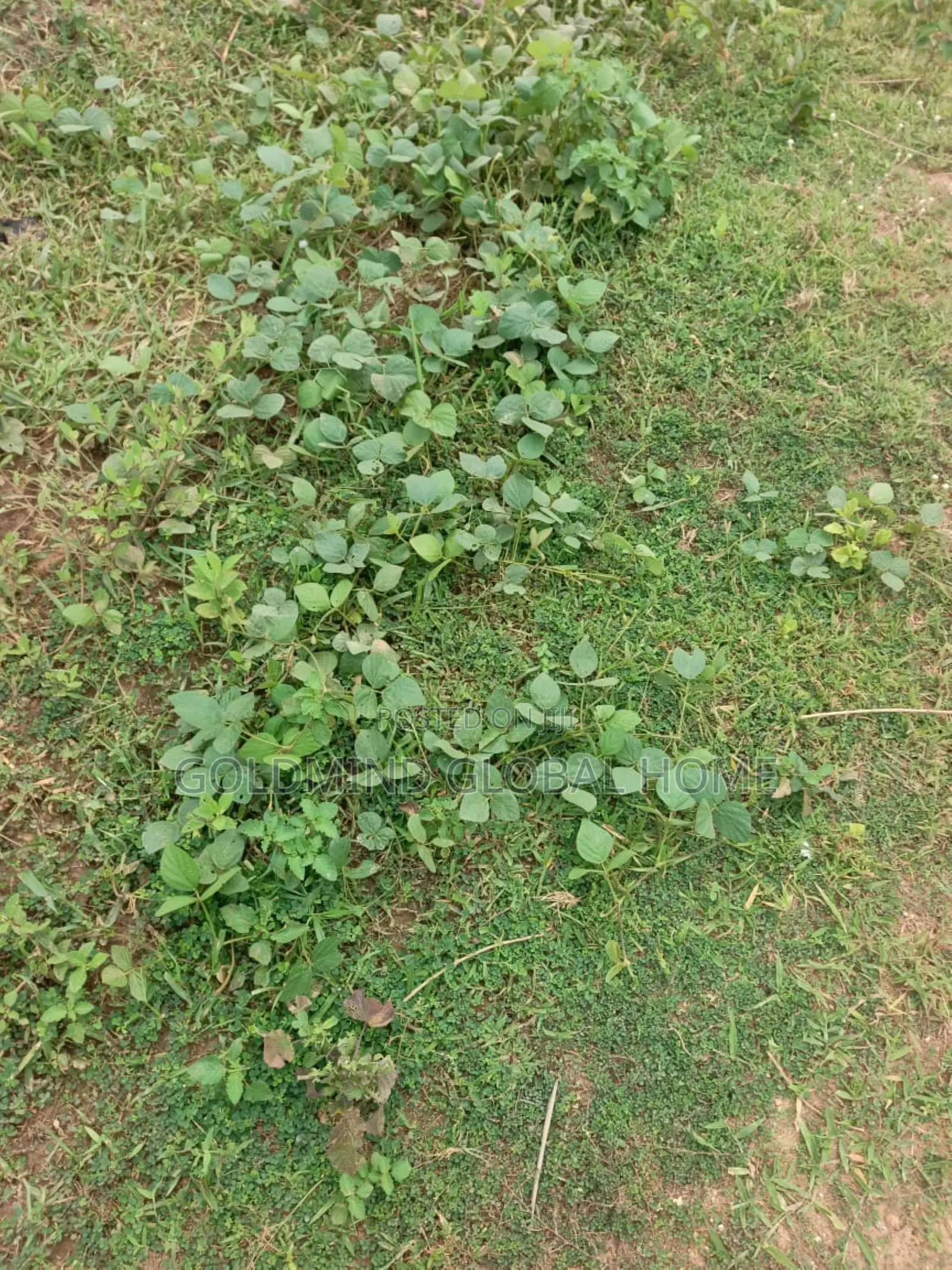 Commercial Land for Sale in Apo, Abuja. 2500sqm. in Apo Resettlement