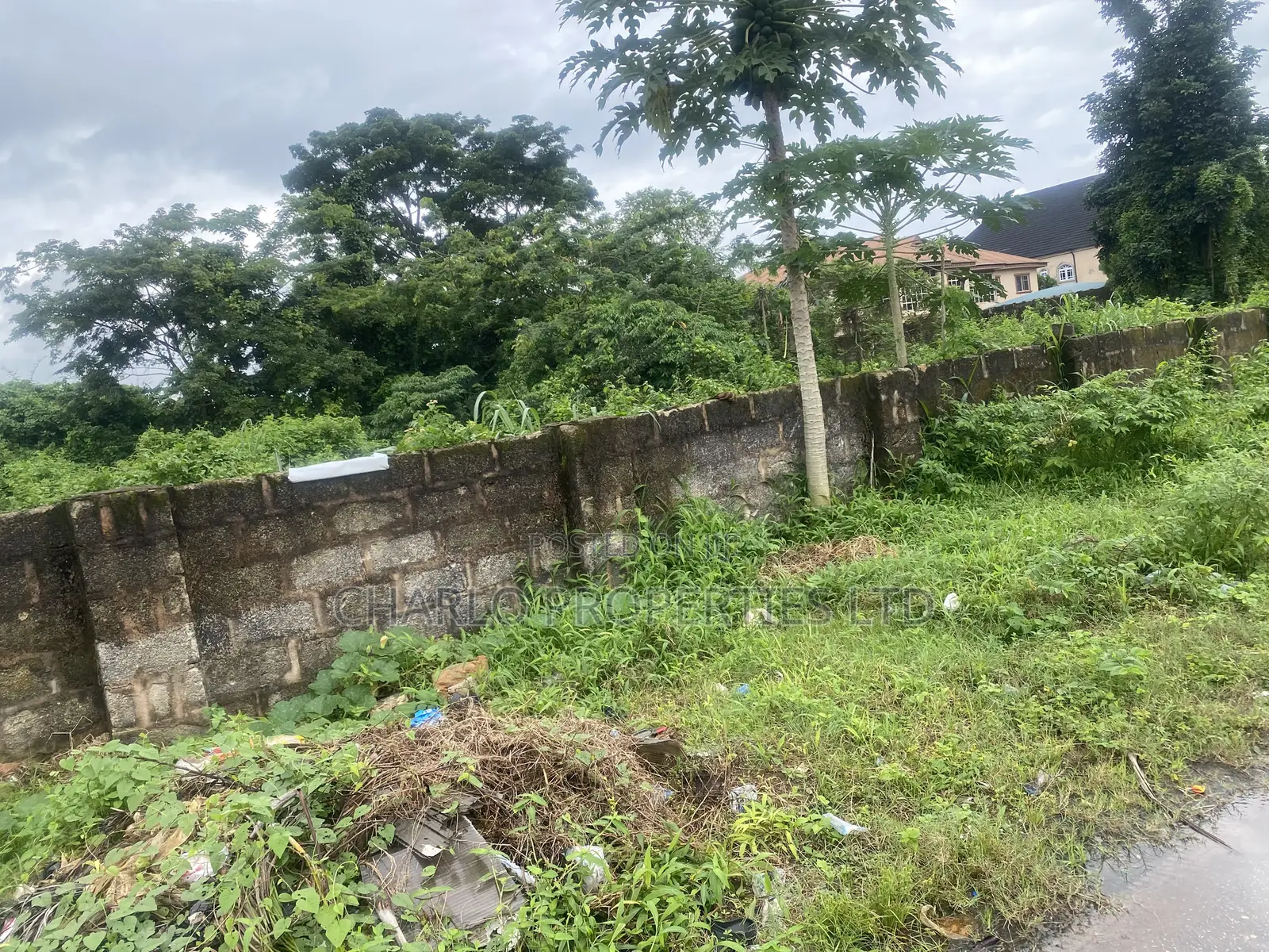Well Fenced 150ft by 150ft With C of O in Etete Layout for Sale in Benin City