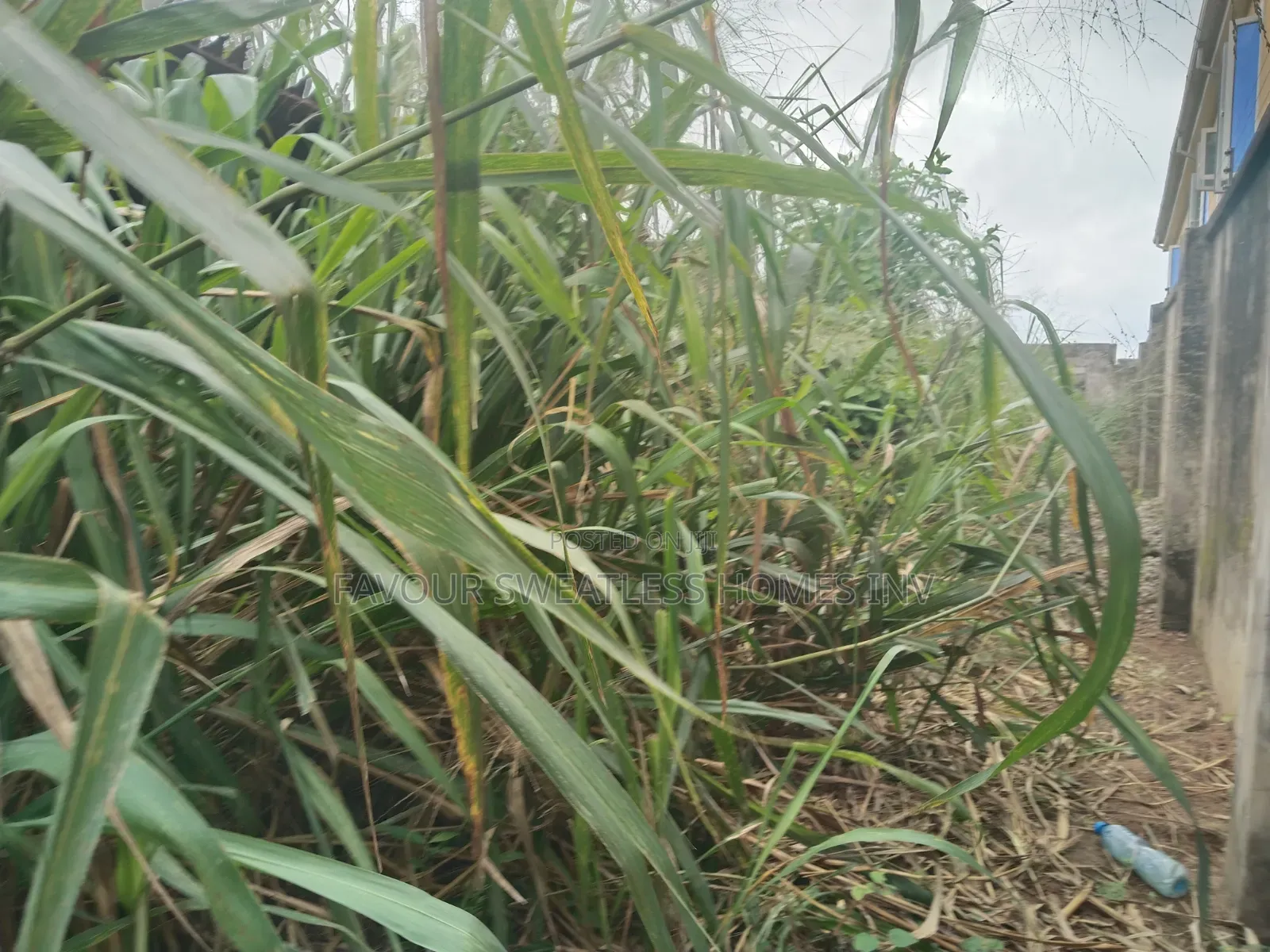 Lovely Half Plot of Land at Magboro in Obafemi-Owode