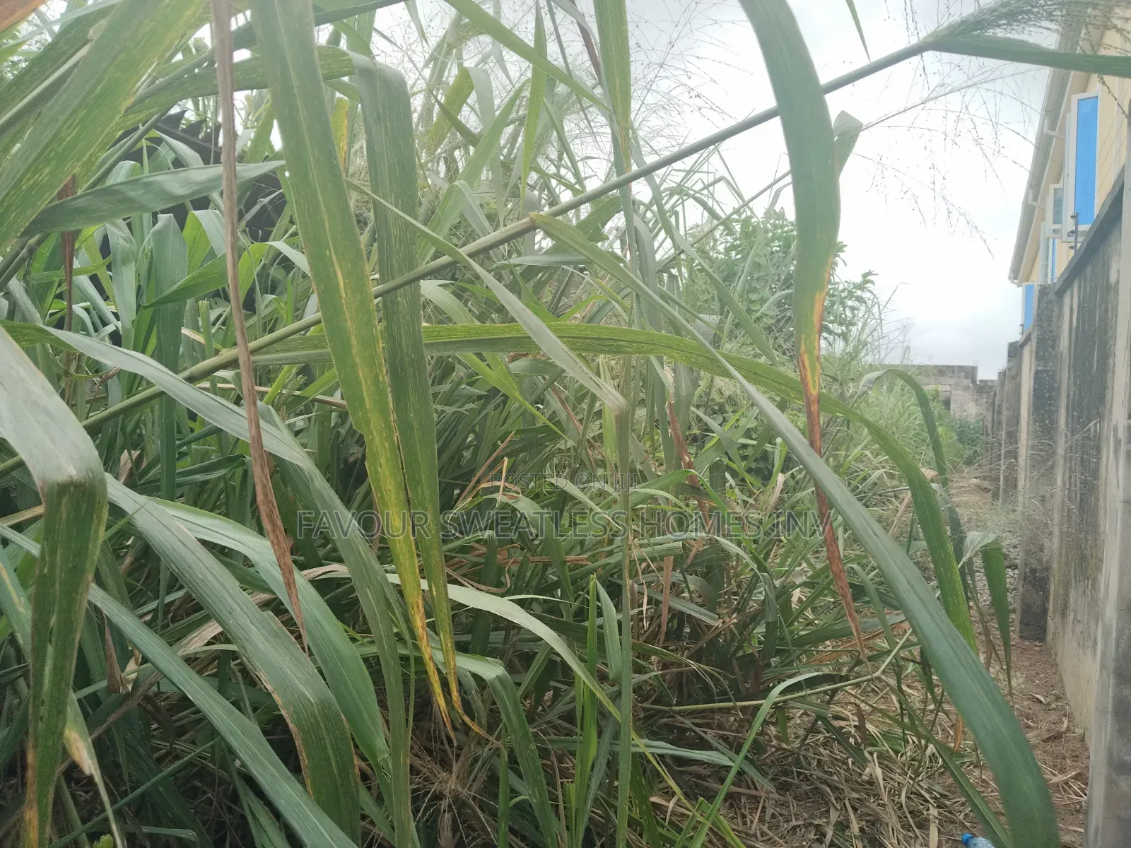 Lovely Half Plot of Land at Magboro in Obafemi-Owode
