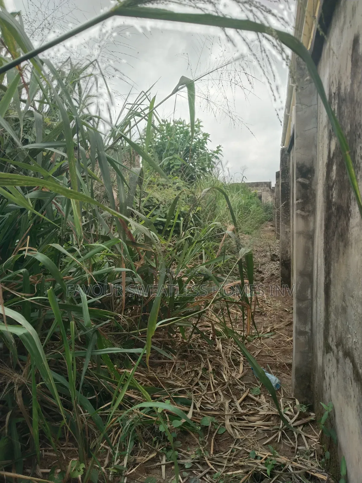 Lovely Half Plot of Land at Magboro in Obafemi-Owode