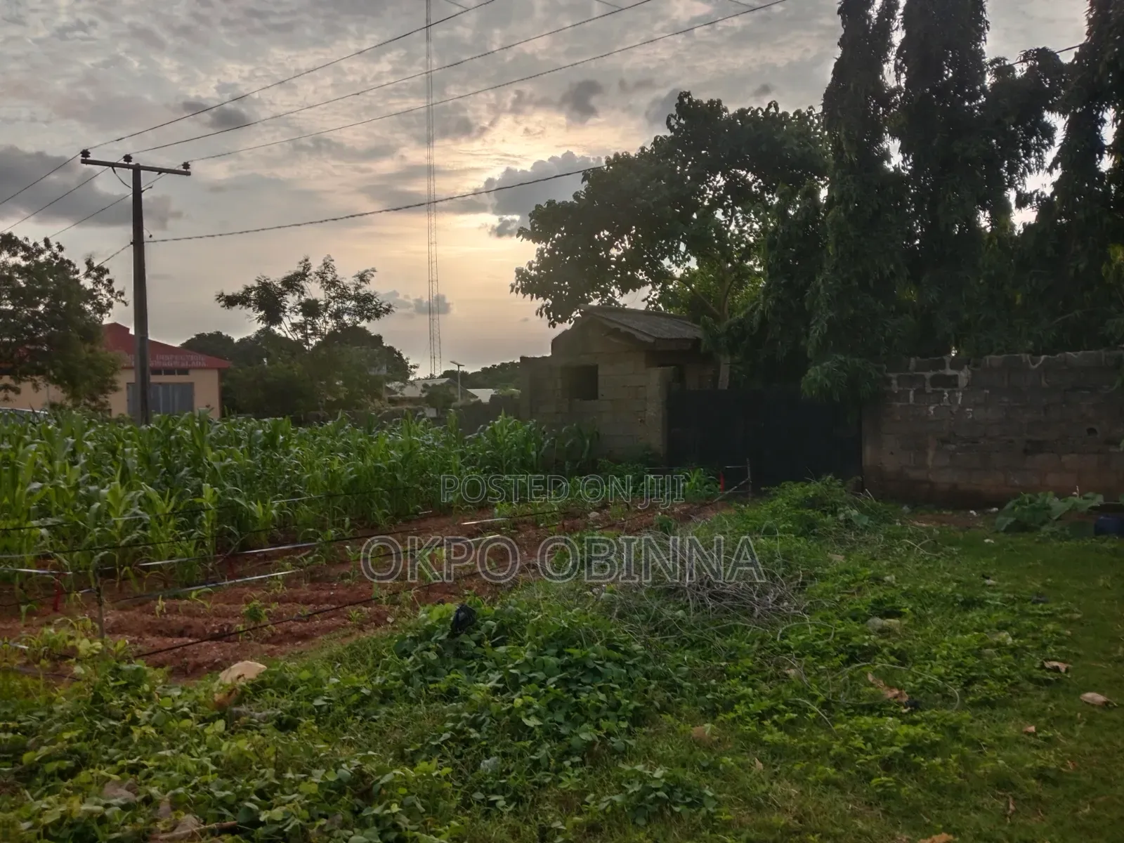 Land 2.7 Hecters in Giri