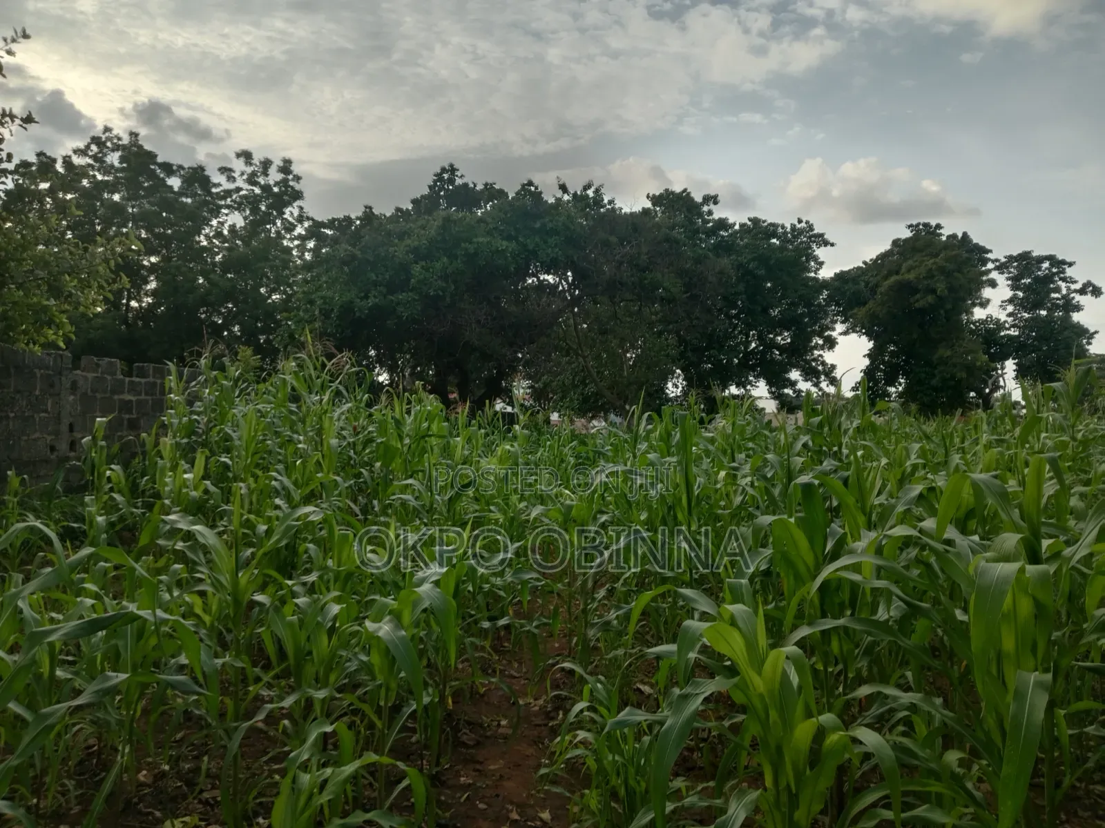 Land 2.7 Hecters in Giri