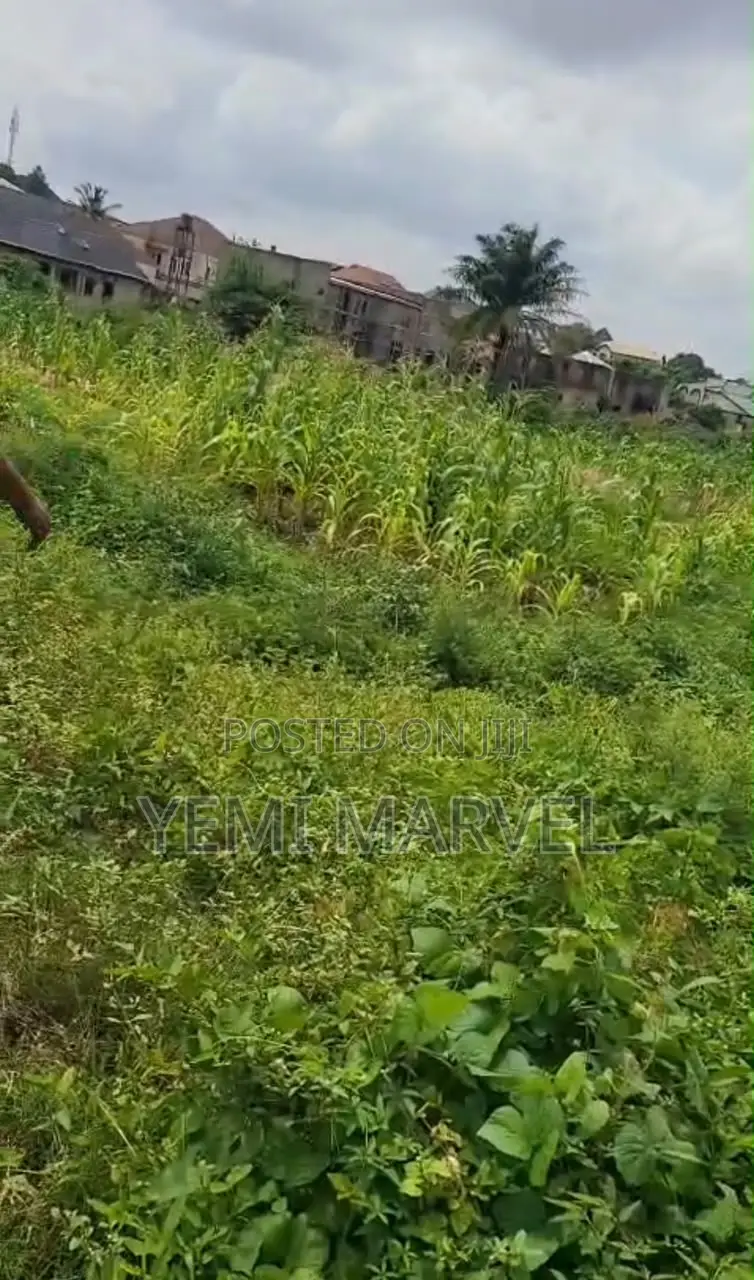 648sqm of Land at Olusoji, Oluyole, Ibadan in Oluyole Estate