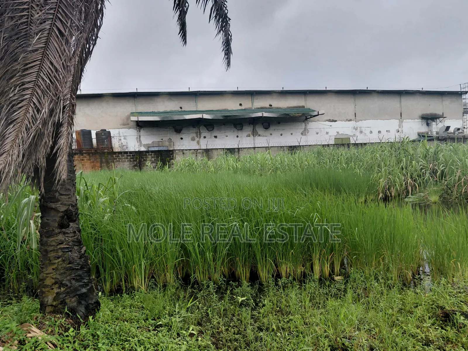 30ft by 120ft Half Plot by Bokuno Bridge Isheri Alimosho Lagos in Isheri / Egbe Idimu