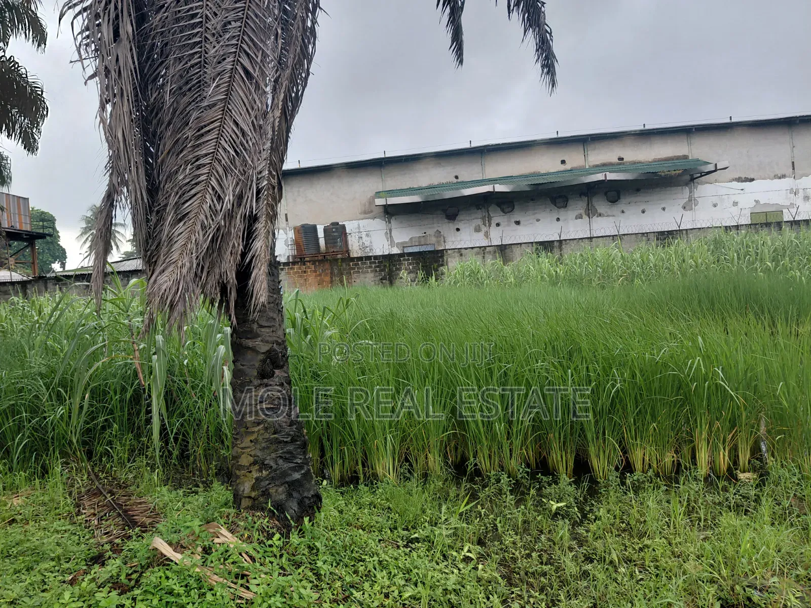 30ft by 120ft Isheri Bokuno Bridge Festac Link Road in Isheri / Egbe Idimu