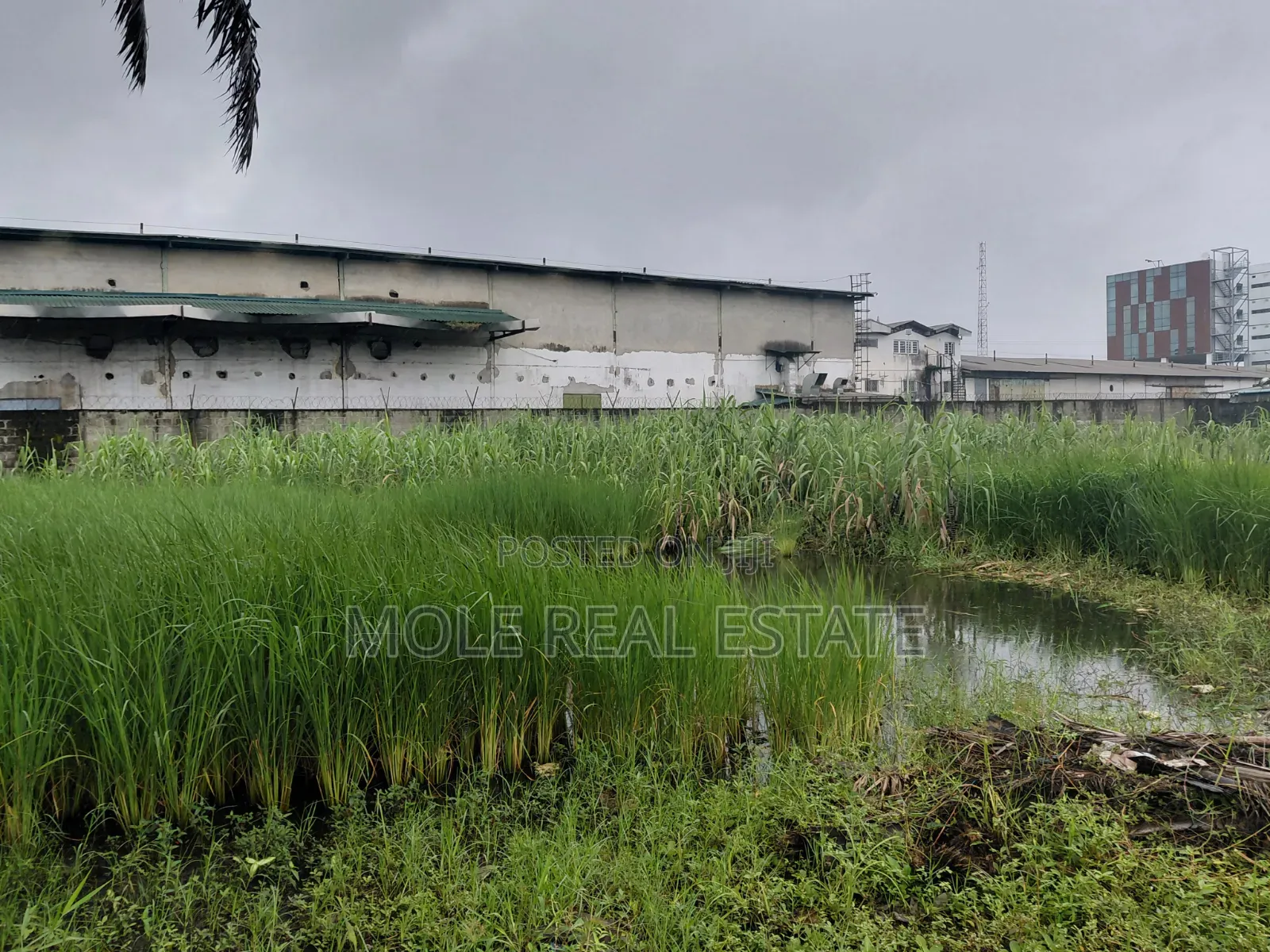 30ft by 120ft Isheri Bokuno Bridge Festac Link Road in Isheri / Egbe Idimu