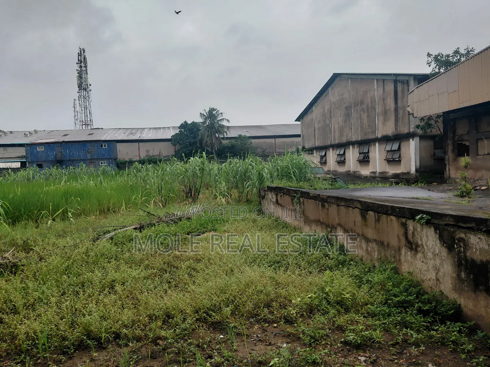 Half Plot of Land Isheri Bokuno Bridge Festac Link in Isheri / Egbe Idimu