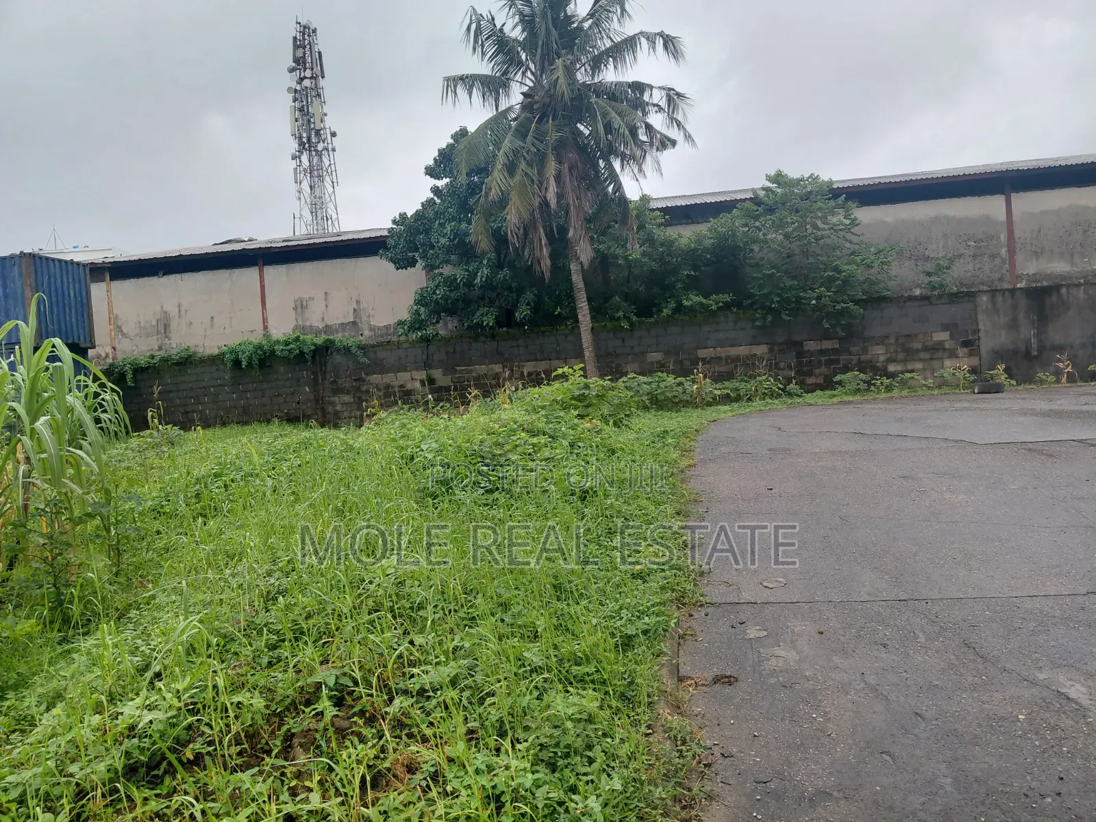 Half Plot of Land Isheri Police Station Festac Link Bokuno in Isheri / Egbe Idimu