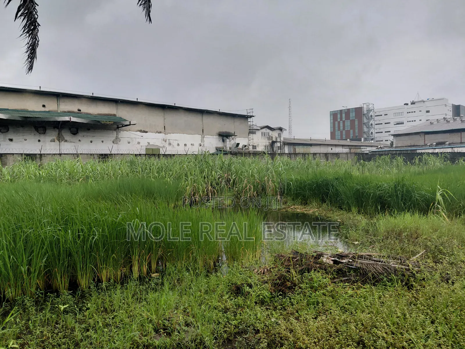 300sqm Half Plot Isheri Bokuno Festac Link in Isheri / Egbe Idimu