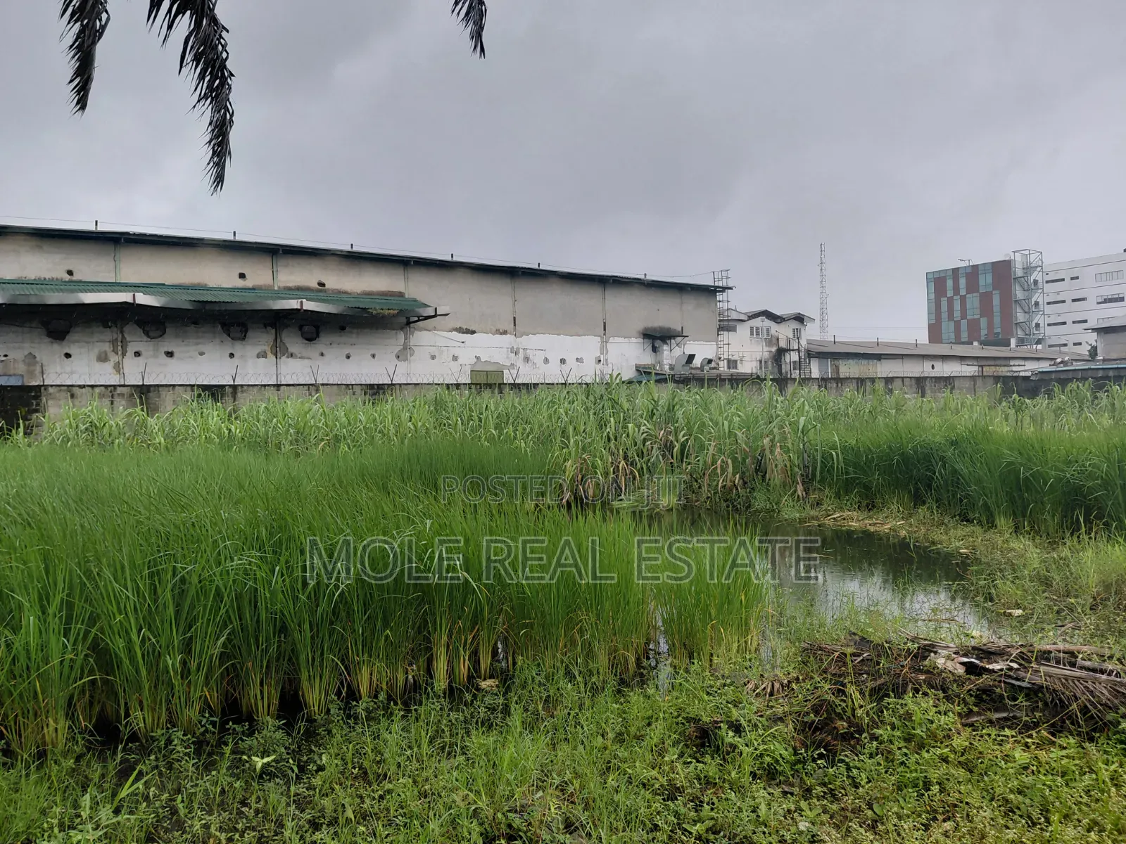 300sqm Half Plot Isheri Bokuno Festac Link in Isheri / Egbe Idimu