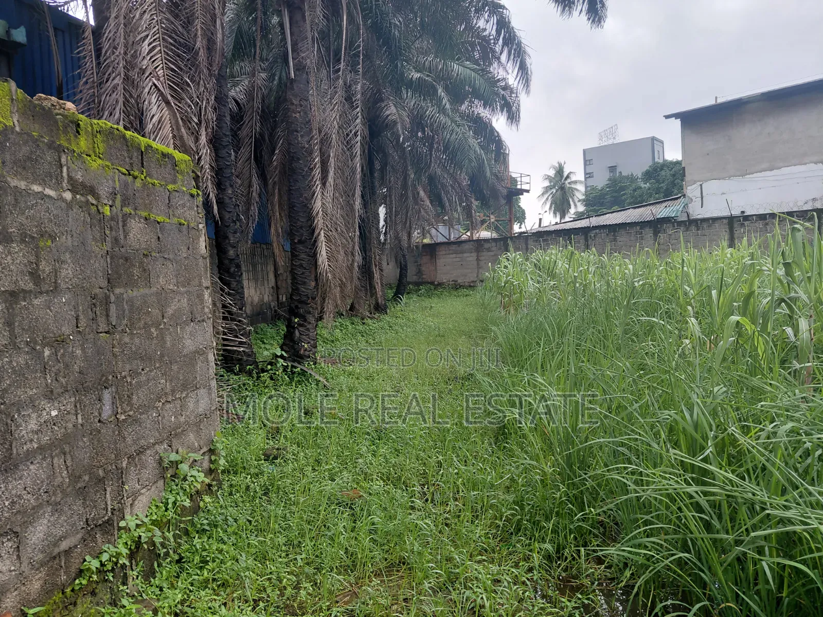Full Plot Isheri Bokuno Bridge Festac Link in Isheri / Egbe Idimu