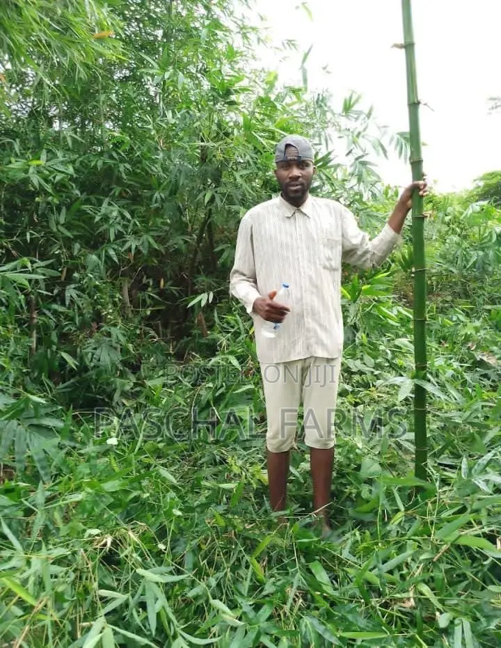Land for Sale in Obafemi-Owode