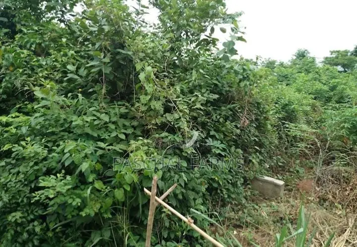 Land for Sale in Obafemi-Owode