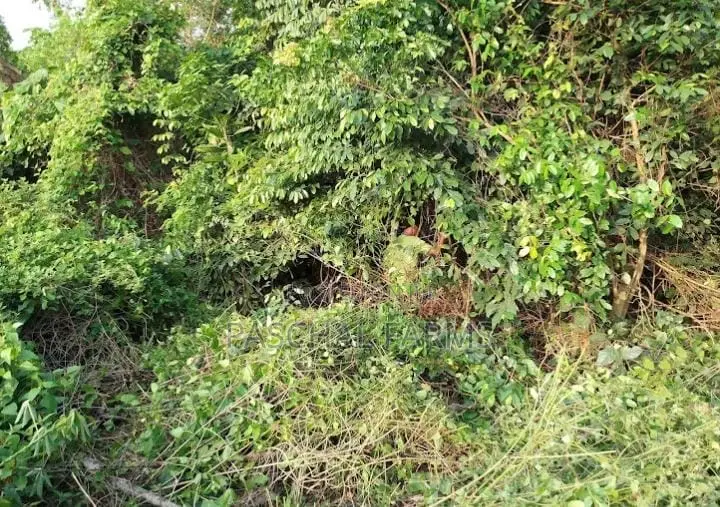 Land for Sale in Obafemi-Owode