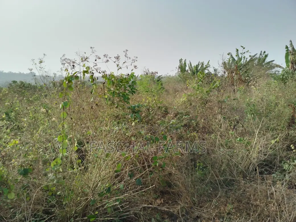 Land for Sale in Obafemi-Owode
