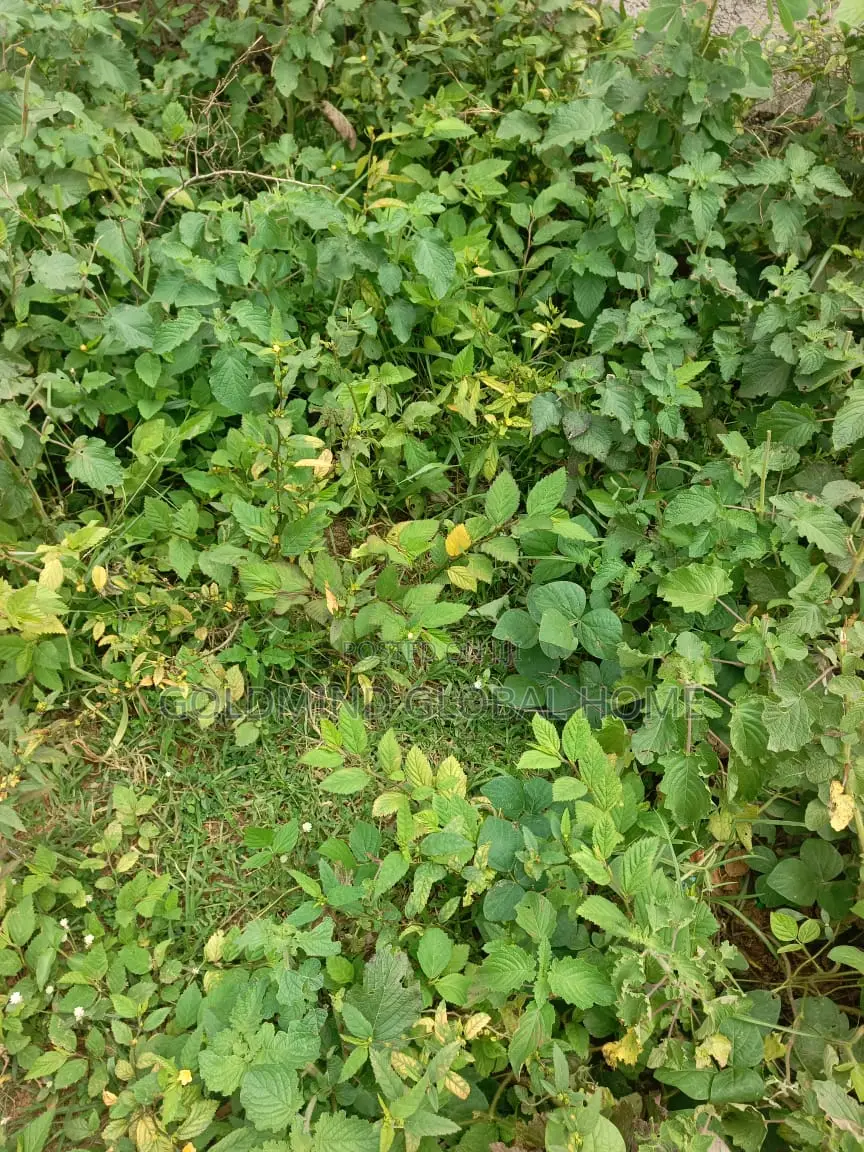 Commercial Land for Sale in Gudu Market, Abuja. 7500sqm. in Gudu