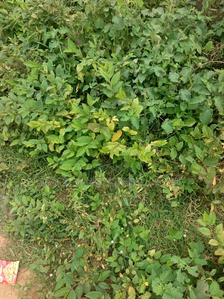 Commercial Land for Sale in Lugbe, Abuja. 3,000 Sqm. in Sabon Lugbe