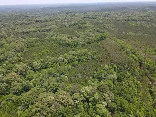 25–30 Acres of Prime Estate Land for Sale – Lagun, Ibadan in Ibadan