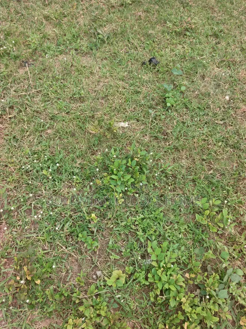 Commercial Land for Sale in Lugbe, Abuja. 3000 Sqm. in Sabon Lugbe