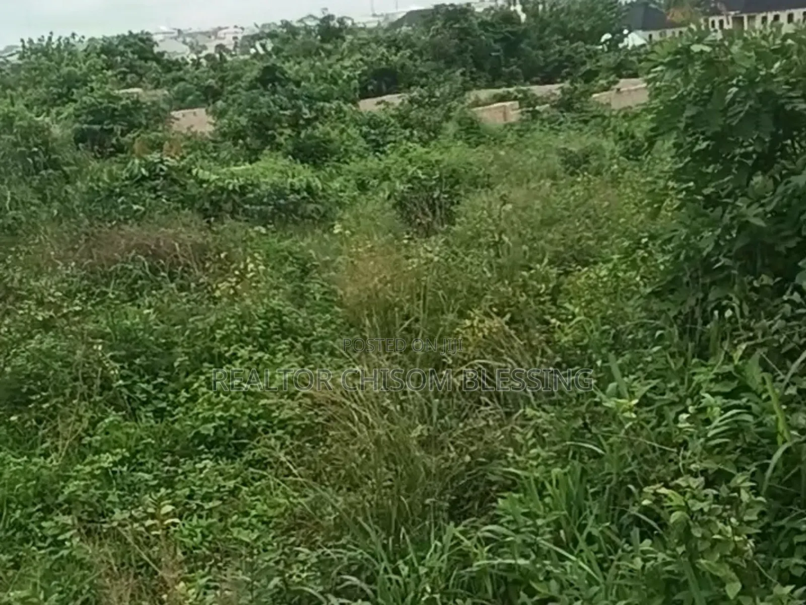 Over 1,800sqm Land for Sale at Commissioner's Quarters New Govt House in Umuahia
