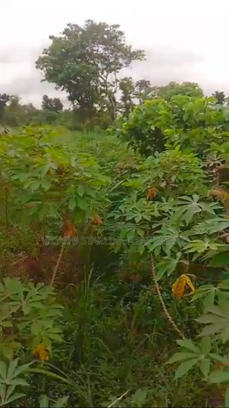 2 Plots of Table Land Is Available for Sale at Ishieke. in Abakaliki