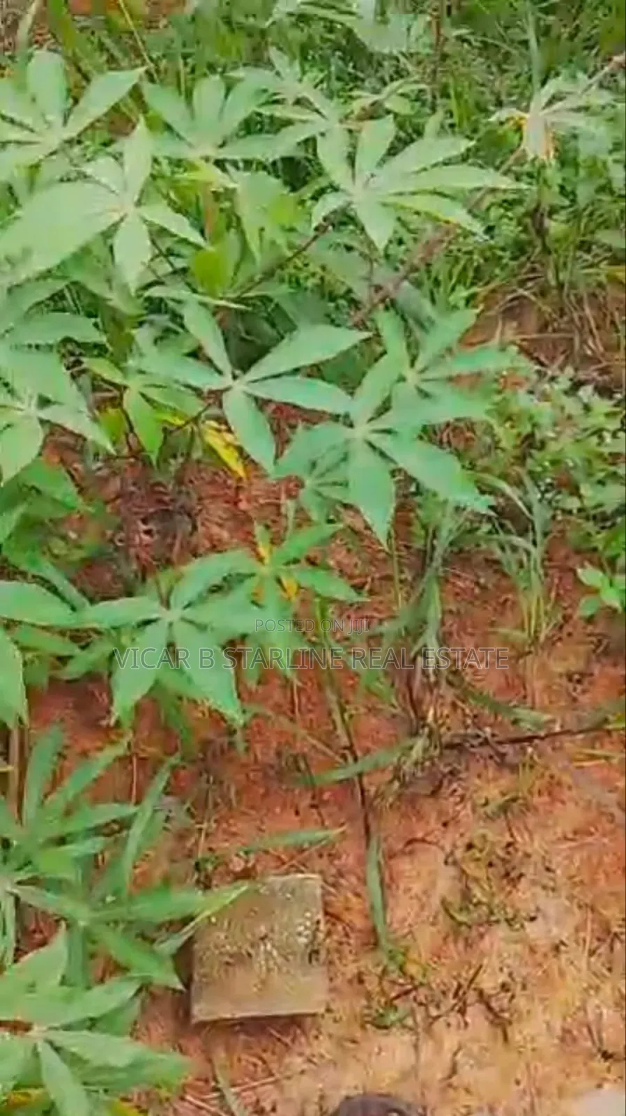 2 Plots of Table Land Is Available for Sale at Ishieke. in Abakaliki