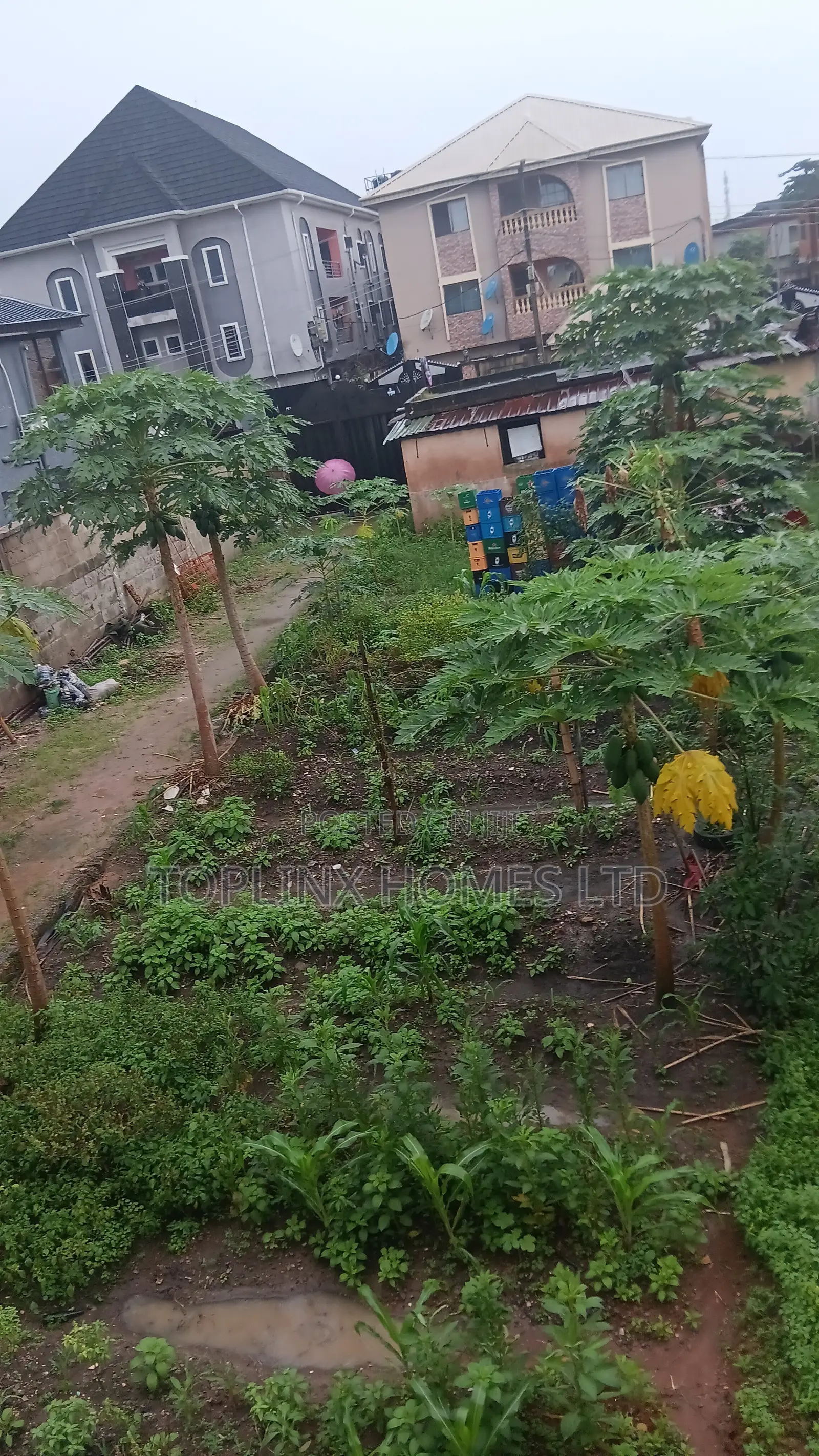 Solid Half Plot of Land for Sale in Ago in Ago Palace