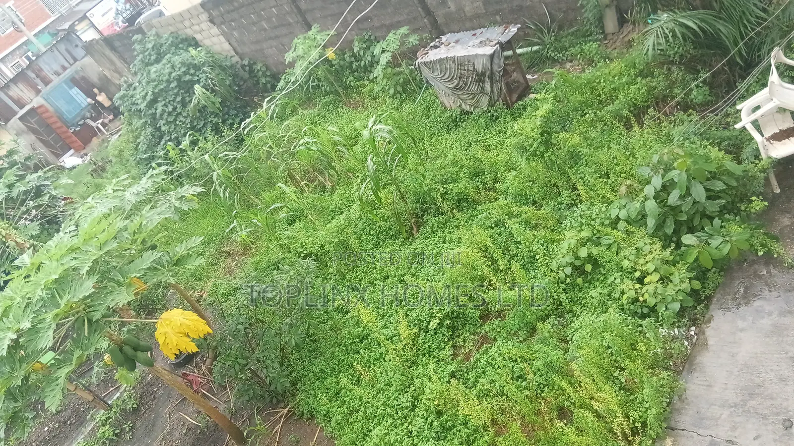 Solid Half Plot of Land for Sale in Ago in Ago Palace