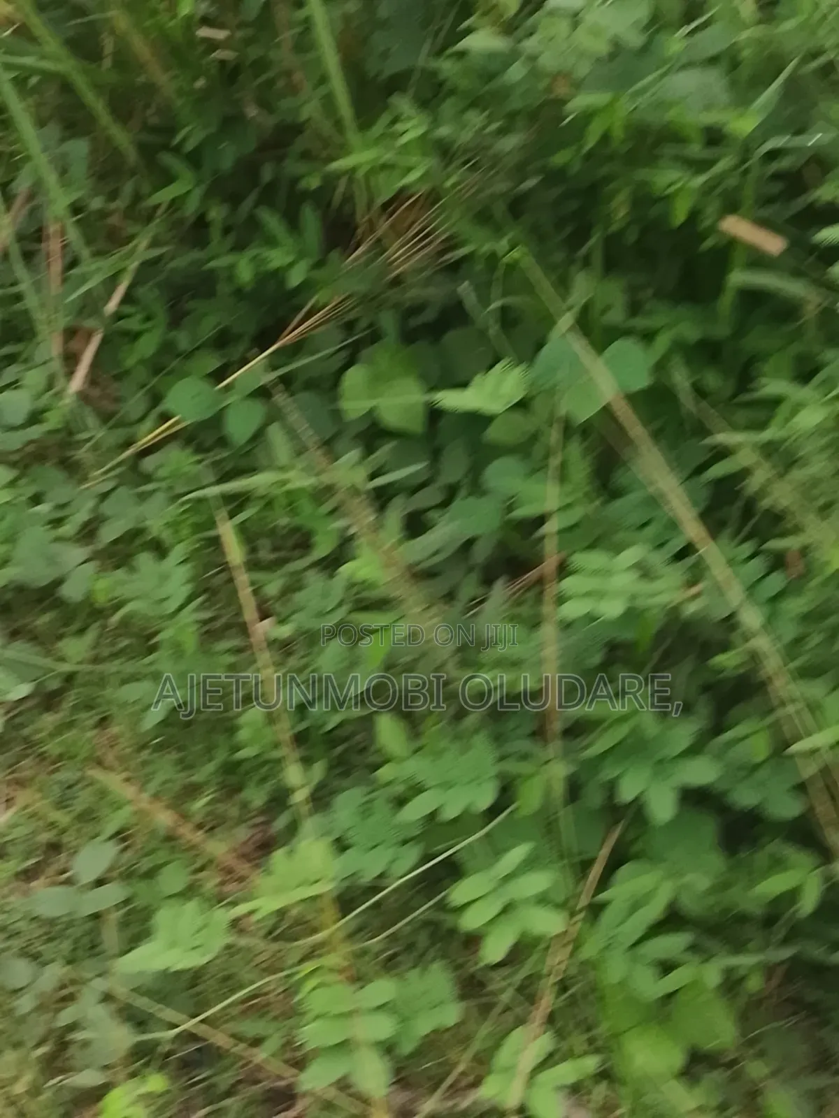 2 Plots/for Sale/Shepherd/Glory Year Schools Area/Receipt/Deed in Ado Ekiti