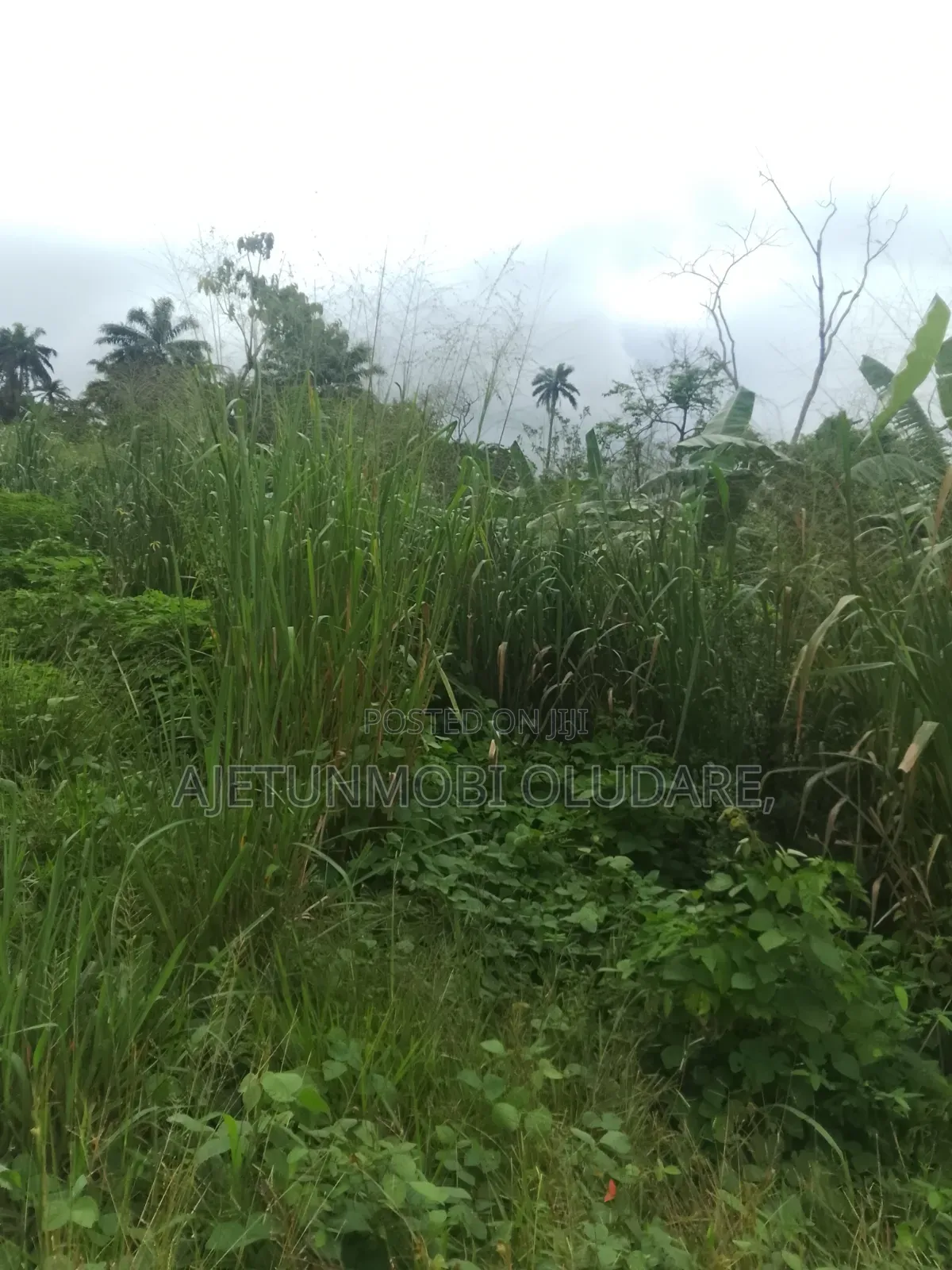 2 Plots/for Sale/Shepherd/Glory Year Schools Area/Receipt/Deed in Ado Ekiti