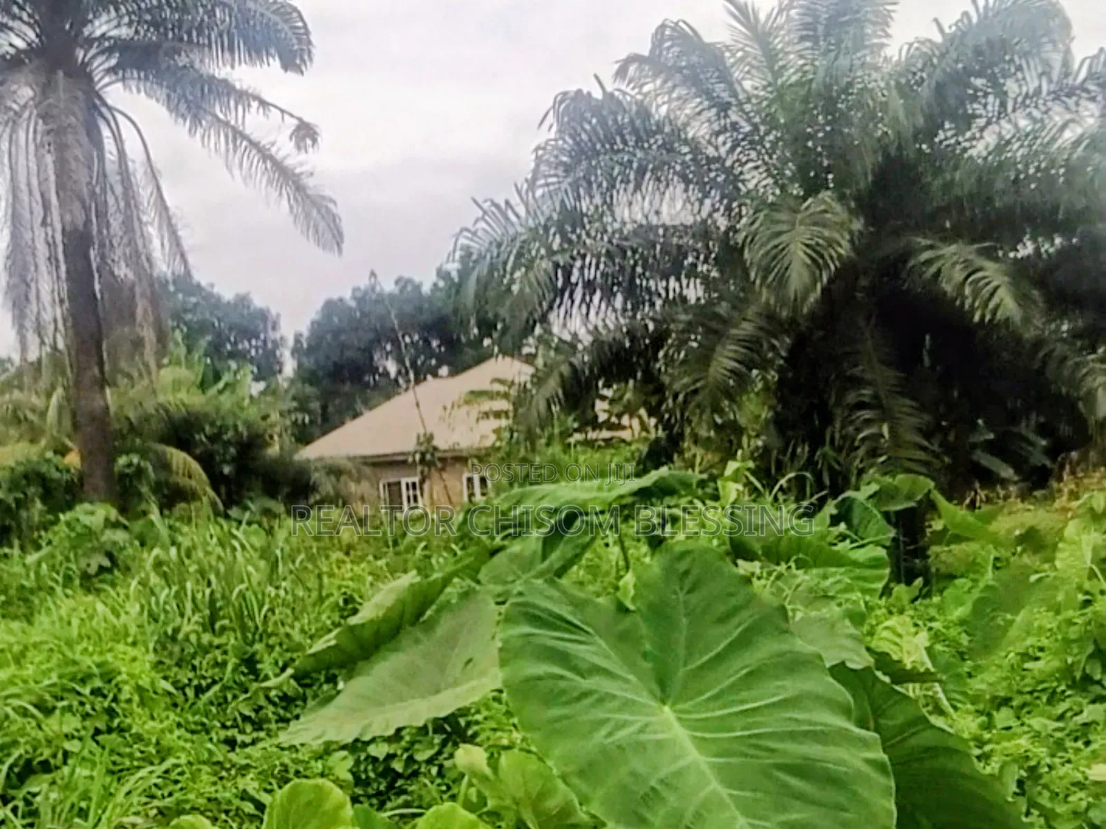 Land for Sale in Old Umuahia Abia State in Umuahia