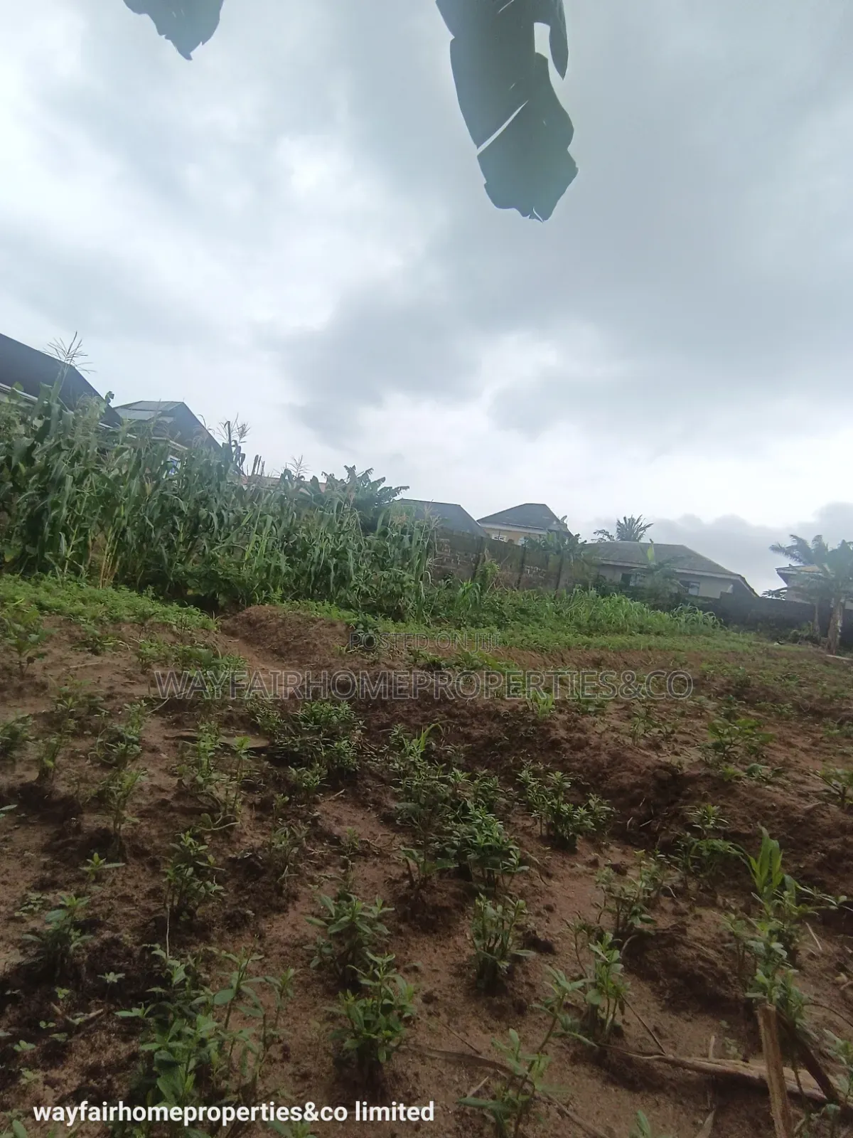Two Plots Altogether for Sale in Ayobo Lagos in Ayobo