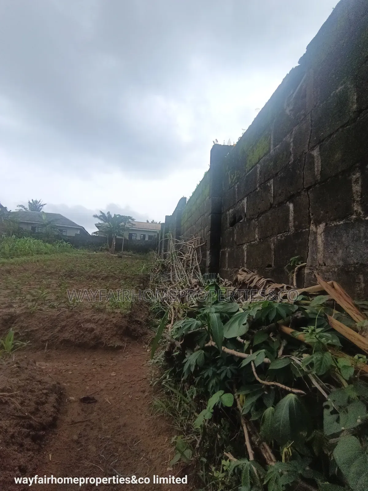 Two Plots Altogether for Sale in Ayobo Lagos in Ayobo