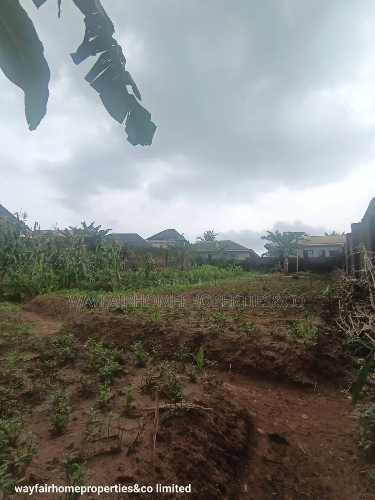 Two Plots Altogether for Sale in Ayobo Lagos in Ayobo