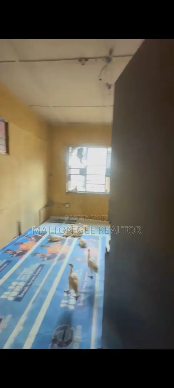 A Whole Storey Building for Lease in Palmgroove