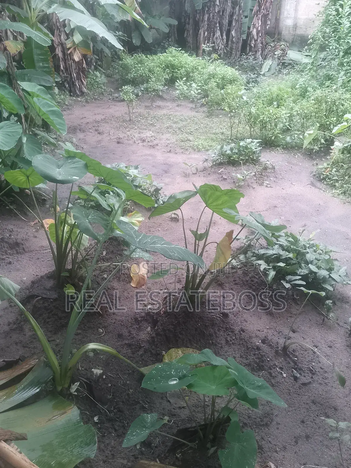 Land for Sale in Uyo