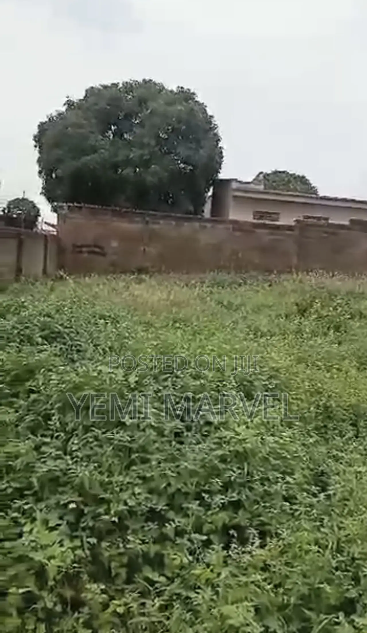 Fenced and Gates 932sqm of Land at Seye Nuga Street, New Bodija, Ib in Bodija